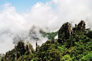 Private One Day Huangshan Tour
